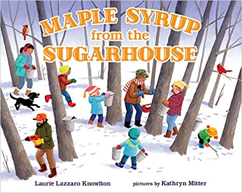Book: Maple Syrup from the Sugar House